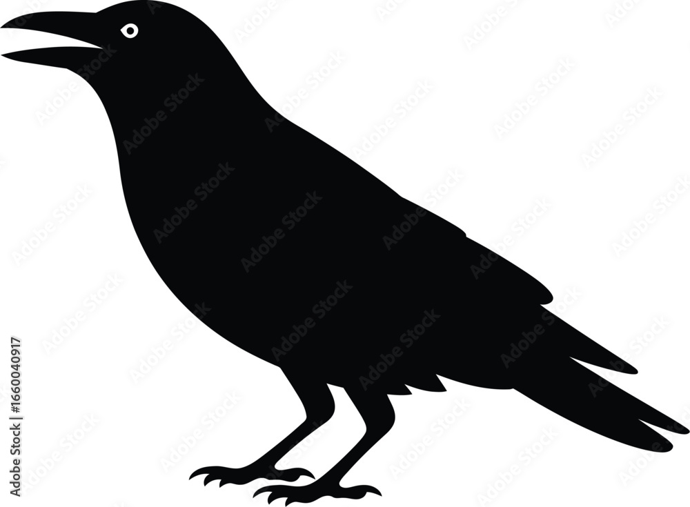 Fototapeta premium Black bird with open beak and white eye silhouette