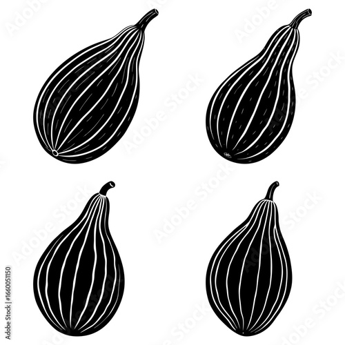 Four black and white striped gourds in varying orientations on a white background illustration art
