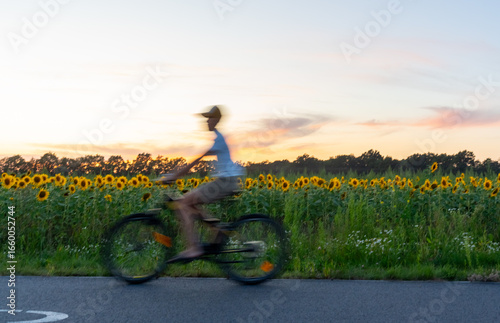 Blurred silhouette of boy riding bicycle on road near sunflower field at sunset. Concept of summer evening activity, healthy lifestyle, rural travel and freedom in countryside naturee