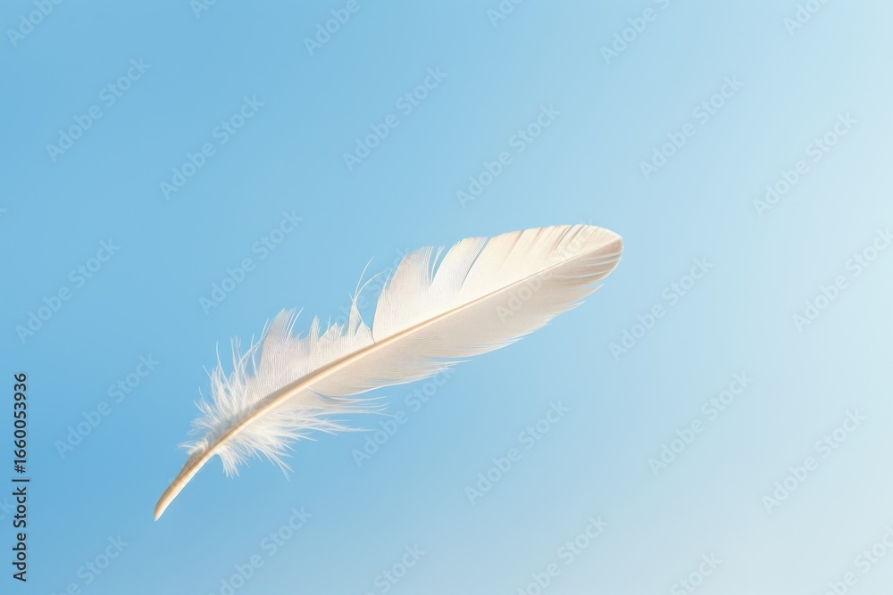 Fototapeta premium Feather bird sky lightweight.