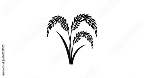 a black silhouette of a rice plant with long leaves and grain stalks