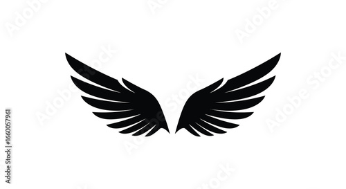 Black silhouette of spread wings on white background