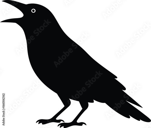 Black bird open beak white eye silhouette