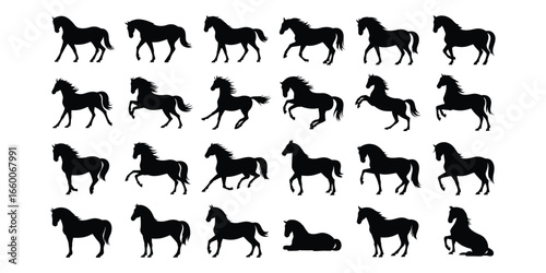 Grid of 24 black horse silhouettes in varied poses—standing, walking, trotting, galloping, rearing—illustrating equine motion and anatomy