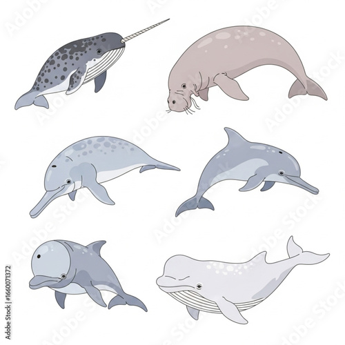 Cartoon illustration of various marine mammals including a narwhal, walrus, and dolphins.