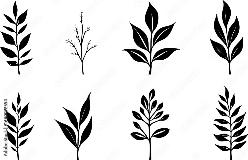 Fototapeta premium Hand-Drawn Black Leaf Silhouettes