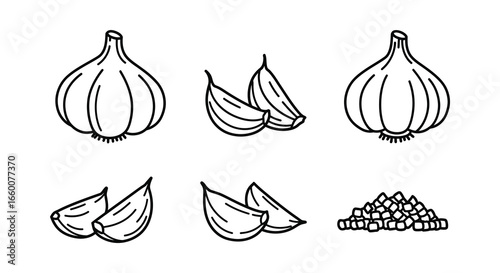 A collection of garlic bulbs and cloves in a simple line drawing style