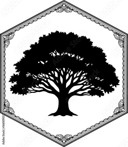 A bold black silhouette of a large tree in a hexagonal frame with delicate decorative line pattern along edges, emphasizing natural grandeur and symmetry.