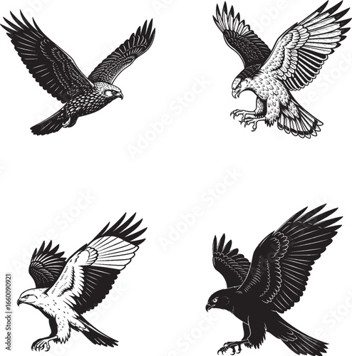 Wallpaper Mural Birds of Prey in Flight – Black Minimalist Raptor Silhouette Set Torontodigital.ca