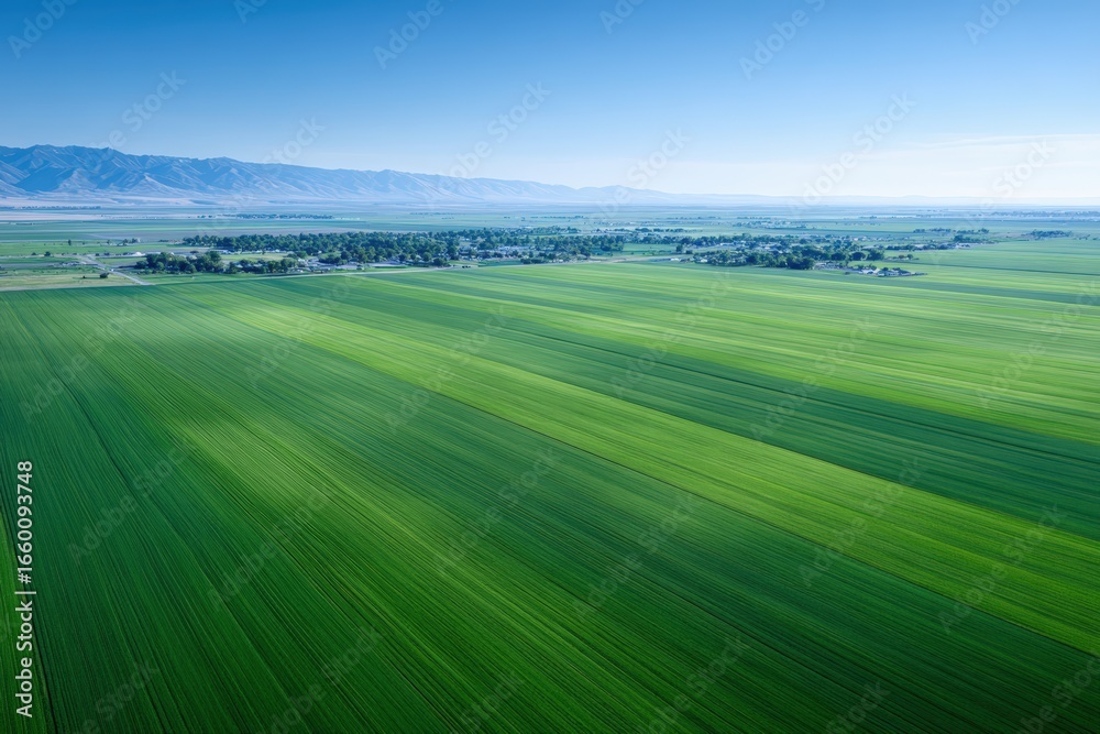 Obraz premium Expansive green agricultural fields stretch across the landscape under a clear blue sky, showcasing the beauty of rural farming and nature's bounty