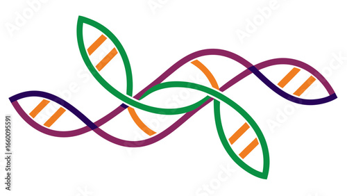 Abstract Intertwined D N A Strands Purple Green Orange Line Art