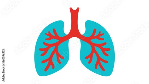 Vector Silhouette Teal Lungs Red Bronchial Tree respiratory system