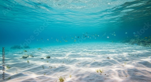 Underwater paradise with vibrant fish swimming over white sand and crystal clear water