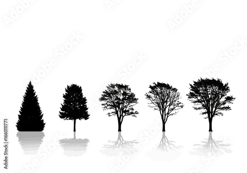 Vector art of a collection of five distinct tree silhouettes, including a conical evergreen and four deciduous trees with varied branch structures, isolated on a