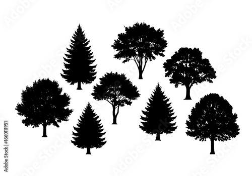 Vector art of a diverse collection of tree silhouettes, including conifers and deciduous varieties, isolated on a