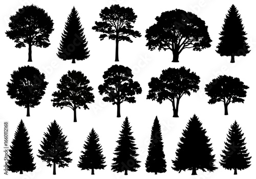 Vector art of collection of diverse tree silhouettes, including deciduous and evergreen varieties, isolated on a