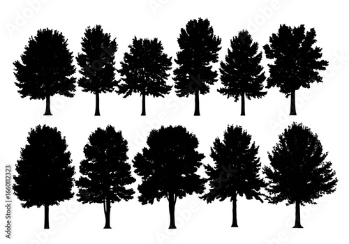 Vector art of collection of diverse tree silhouettes isolated on a, showcasing various shapes and sizes of deciduous and evergreen foliage, perfect for design and illustration