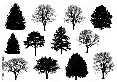 Vector art of collection of diverse tree silhouettes, including evergreen and deciduous varieties, isolated on a clean for versatile design use