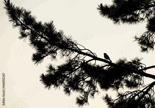 Vector art of a lone bird perched on a dark pine branch silhouette against a light, hazy sky, creating a minimalist and serene natural scene