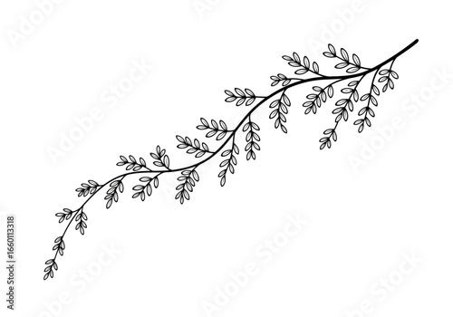 Vector art of delicate handdrawn botanical branch with leaves