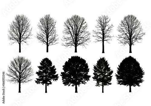 Vector art of collection of ten tree silhouettes in various styles