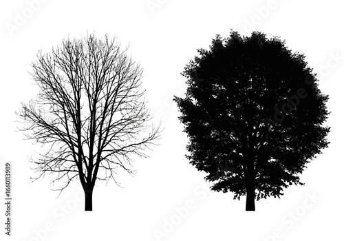 Vector art of two contrasting tree silhouettes, one bare and skeletal, the other full of lush foliage