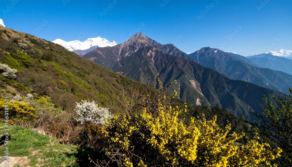 Fototapeta premium A vast mountain range stretches out beneath a vibrant blue sky, dotted with flowering plants and snow-capped peaks.