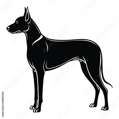 Sleek black great Dane dog illustration a vector image of a dignified and elegant canine companion perfect for pet related designs