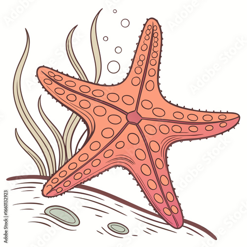 A vibrant illustration of a pink starfish resting on the ocean floor with seaweed and bubbles