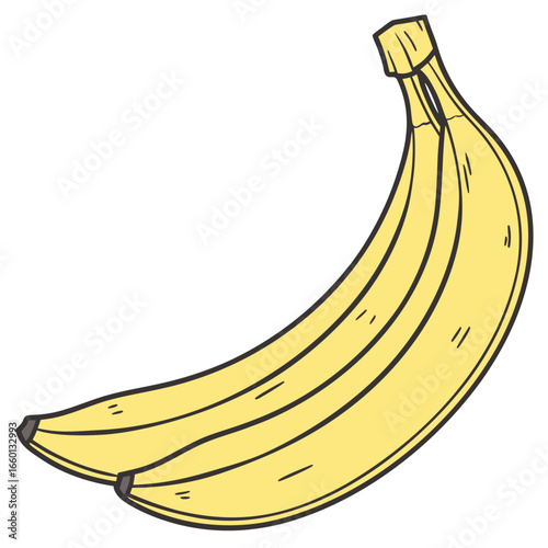 Hand drawn illustration of a bunch of yellow bananas on a white background