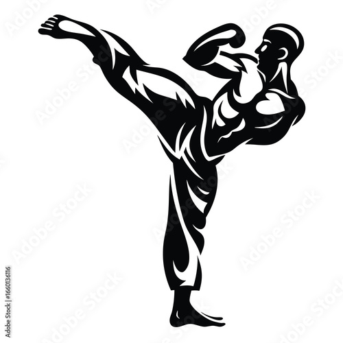 Striking Silhouette Karate Athlete Performing a Side Kick with Focus