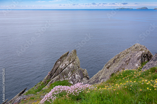 atlantic ocean, shore islands, dunmore head with flowers