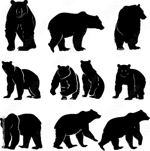 "Wild Bear Silhouettes Collection"