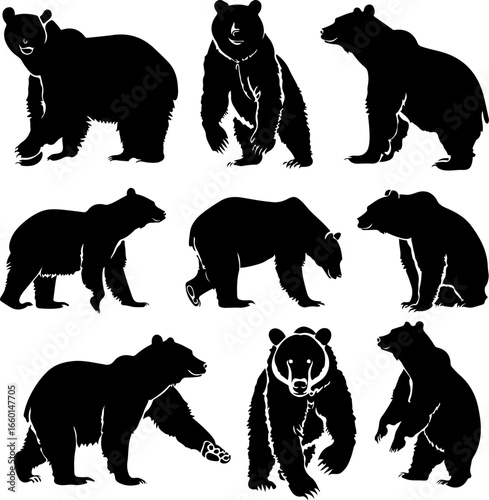 "Wild Bear Silhouettes Collection"