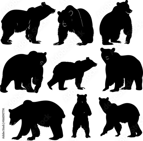 "Wild Bear Silhouettes Collection"