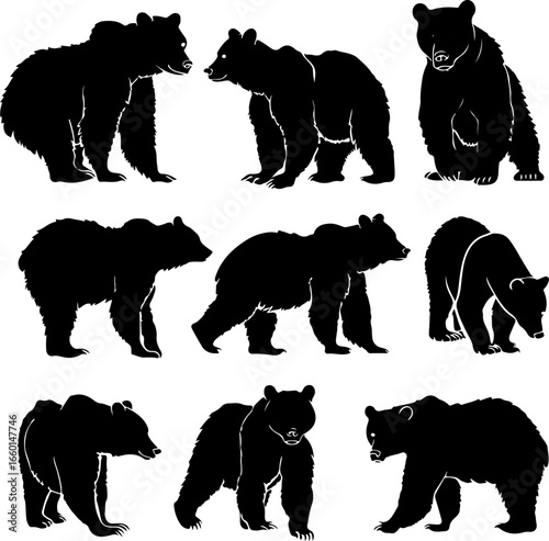 "Wild Bear Silhouettes Collection"