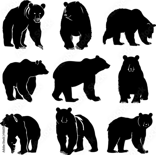 "Wild Bear Silhouettes Collection"