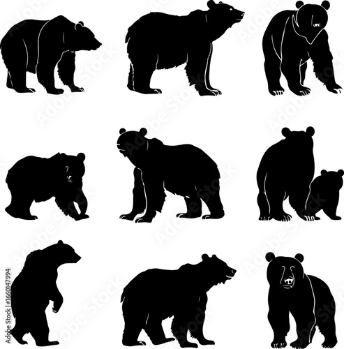 "Wild Bear Silhouettes Collection"