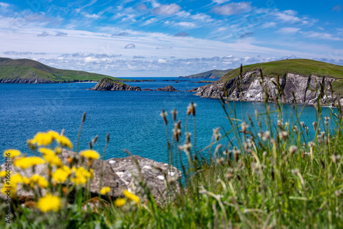 atlantic ocean, shore islands, dunmore head with flowers