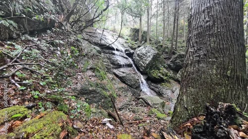 岐阜県関市の雪が降る中　流れ落ちる美しい滝