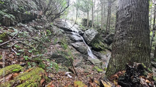岐阜県関市の雪が降る中　流れ落ちる美しい滝