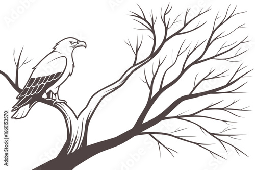  Bald Eagle Perched on a Tree Branch - Vector Art