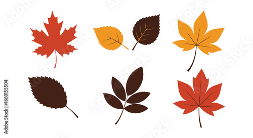 Collection of colorful autumn leaves in various shades and shapes on white background