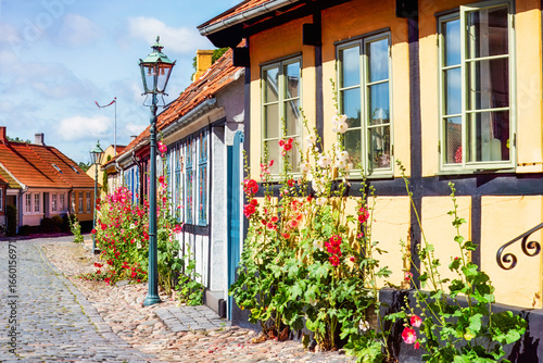 Foto Nostalgy memory through blooming walls, traditional houses in soft light framed by hollyhocks and cobbled streets