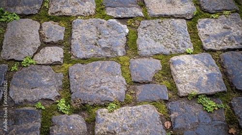 Close-up view of a cobblestone pavement with moss and small plants growing between the stones