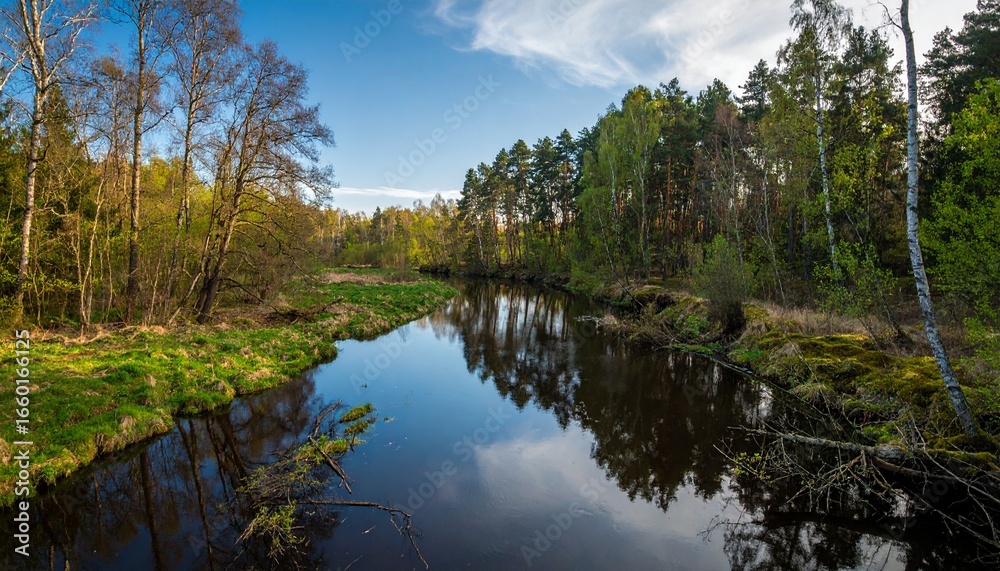 Serene River Reflecting Trees and Sky in a Lush Green Forest Landscape. Serene River Reflecting Trees and Sky in a Lush Green Forest Landscape.