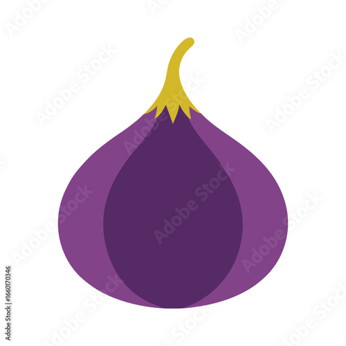 vector illustration of a fig