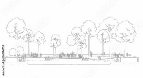 Architectural landscape design showcases elegant trees and refined garden features