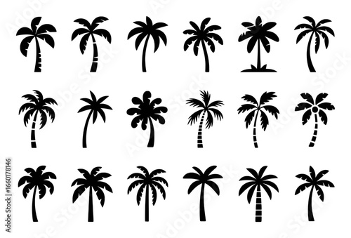 Collection of Black Silhouette Palm Trees on White Background