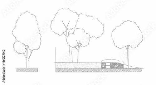 Architectural drawing of trees and a building, simple design and clear lines